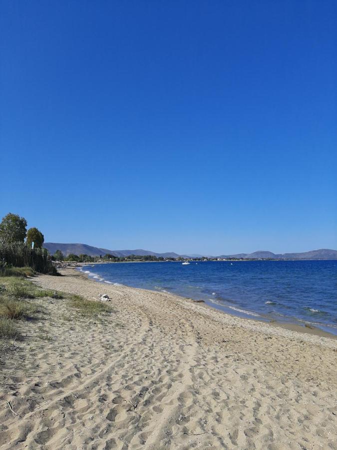 Cozy Flat In Nea Makri Apartamento Exterior foto